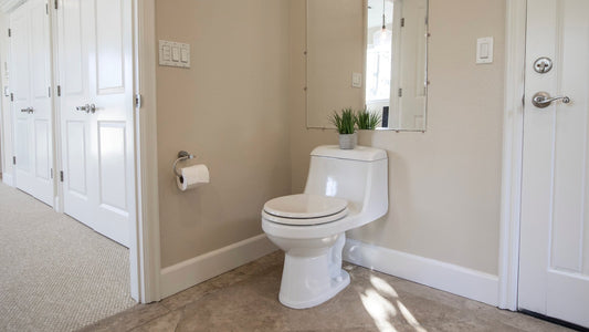 Bright bathroom with a toilet and toilet paper holder