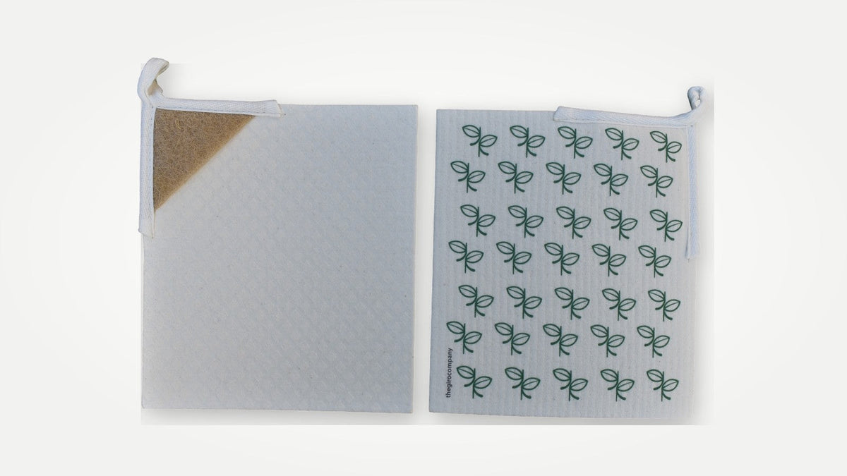 Giro Swedish dishcloth with sisal scrub corner and leaf-print cloth on clean background